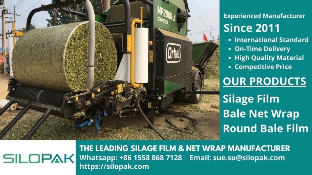 Dry Matter Content in Silage feed